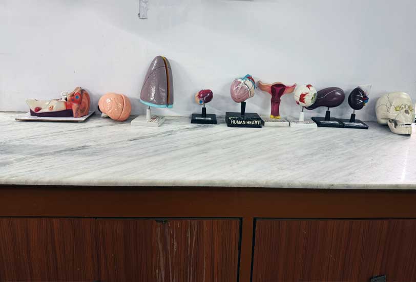 Biology Lab 1