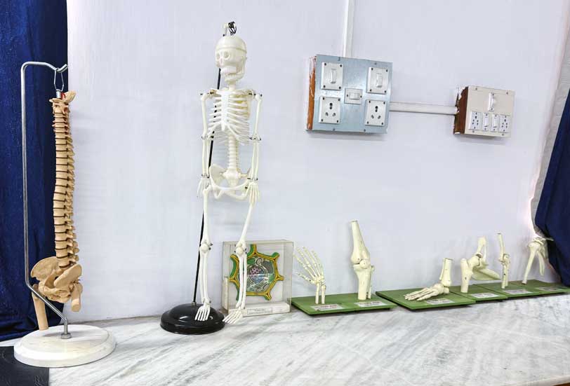 Biology Lab 2