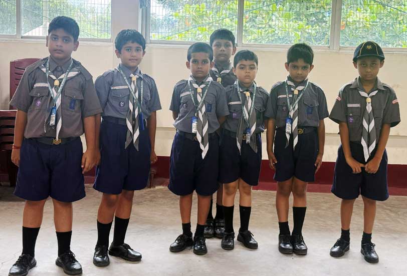 Cubs & Bulbuls 1